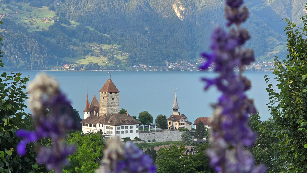1200×675-gutschein Entspannter Moment auf einer Fahrt durch die Schweiz